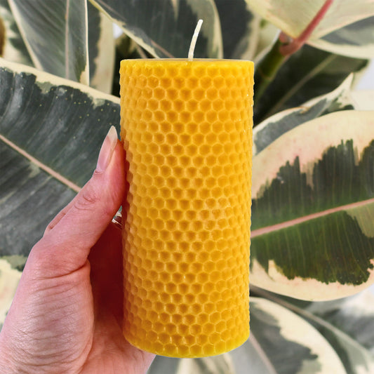 Natural Beeswax Honeycomb Pillar
