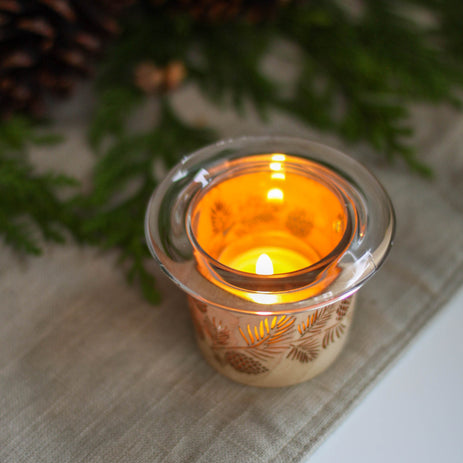 Lantern Cozies x Honey Candles Pinecone Gift Set