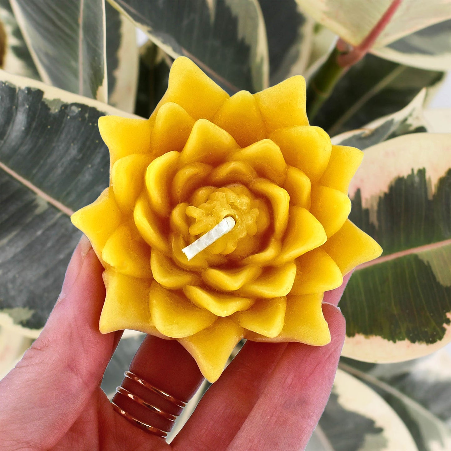 Beeswax Floating Lotus Candle (9 Colors)