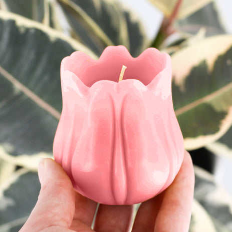 Pink Beeswax Tulip Candle