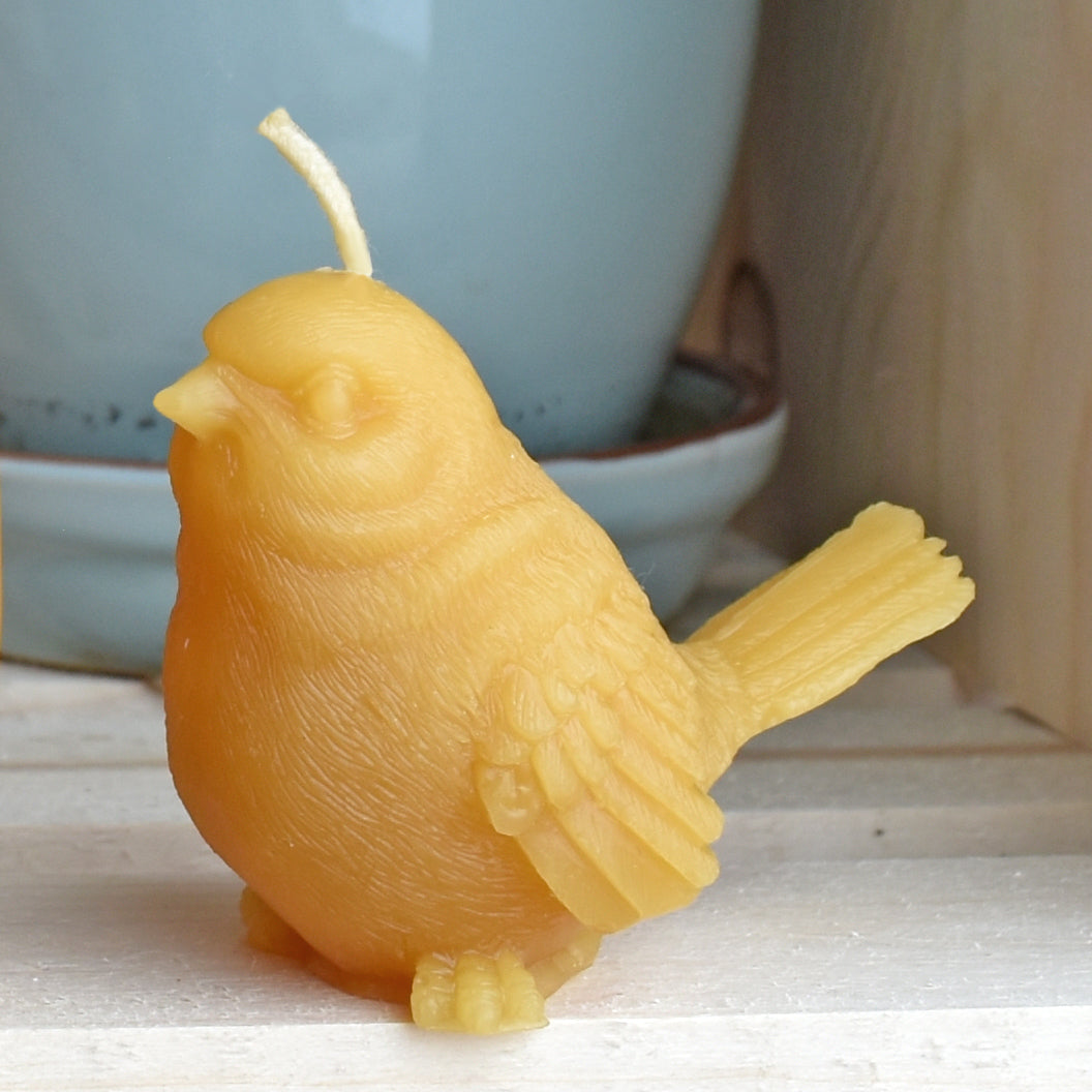 Beeswax sparrow bird candle with plant in background