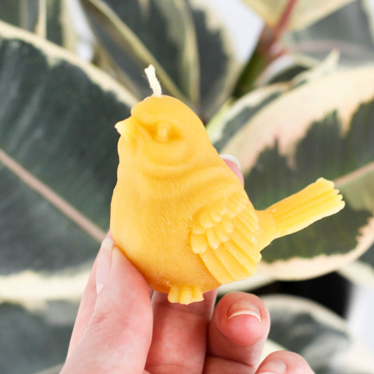 Natural Beeswax Sparrow Candle